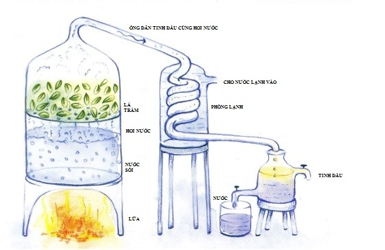 Phương pháp ép lạnh tinh dầu